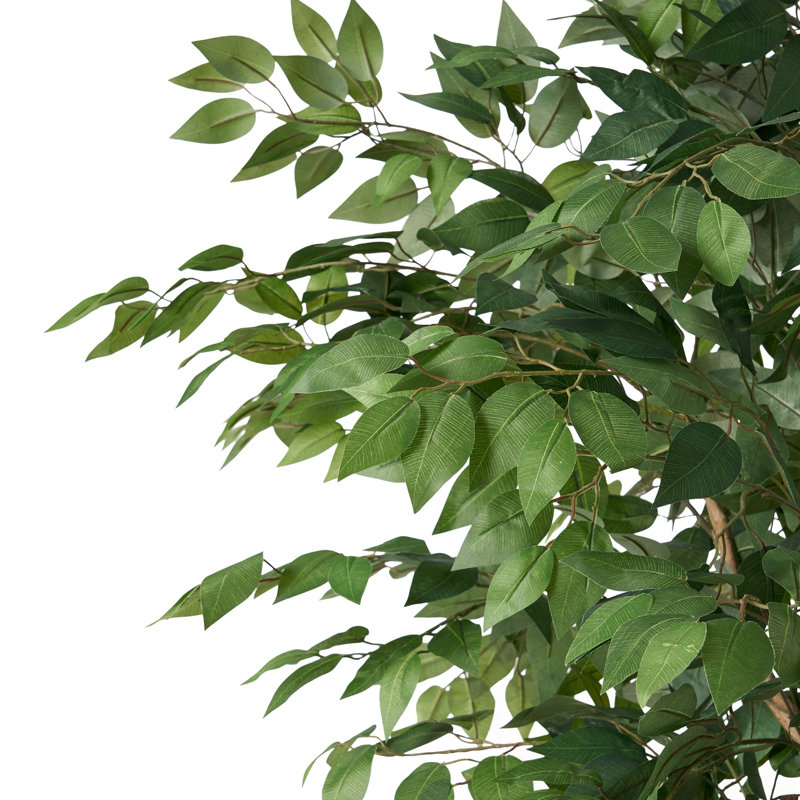 180CM ARTIFICIAL FICUS TREE