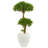 36'' Faux Bonsai Tree in Earthenware Pot