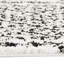 Cabana Moroccan Area Rug-39723745