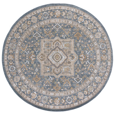 Finley Performance Oriental Indoor Rug