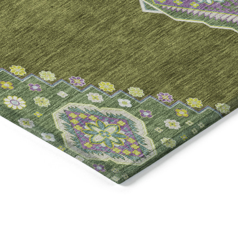 Machine Washable Indoor/Outdoor Chayden ACN1014 Rug, Rectangle 3' x 5'