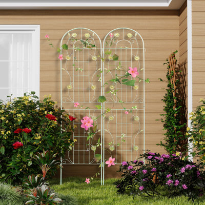 Metal Arched Trellis (Set Of 2)