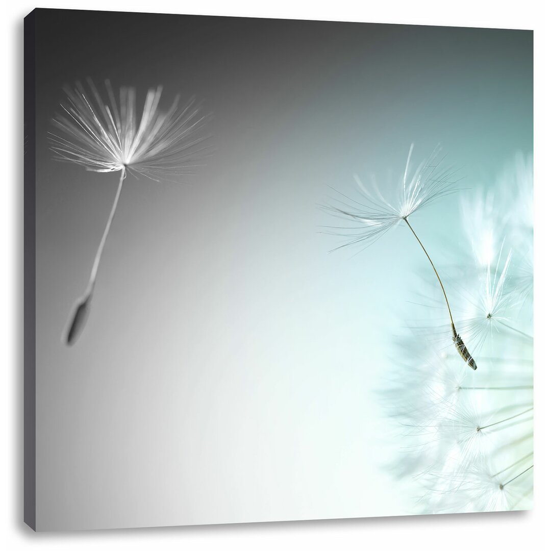 Leinwandbild Dandelion, Kunstdruck