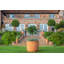 Vaughn Fiberglass Pot Planter-14486327
