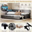 Upholstered Daybed-303255509
