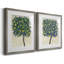 «Lemon Tree Composition I», reproduction encadrée de qualité supérieure - prête à être accrochée