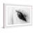 " Trusting Eye " by Marmont Hill-21728442-21728446