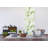 Stonehouse Non-Pasted Floral Wall Mural