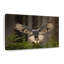 Flying Owl, reproduction sur toile-556218376