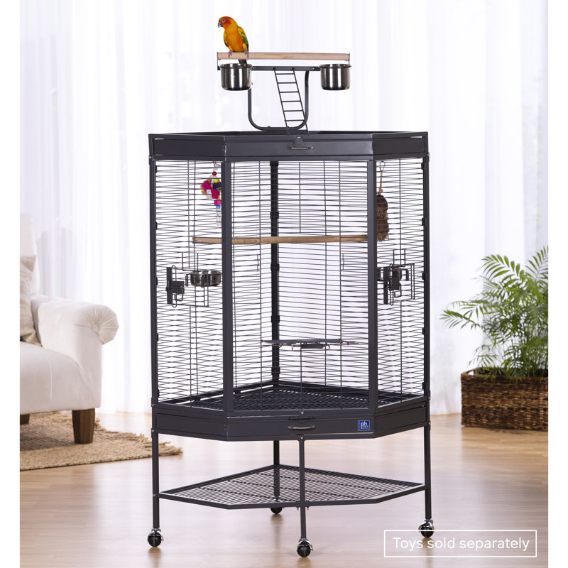 Cage à oiseaux d'angle