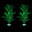 Palmiers 48 po Glow in the Dark