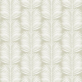 Organic Betty Palms 10' L x 24" W Wallpaper Roll