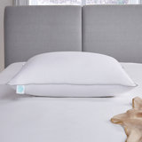 Down L28 x W20cm Plush Support Pillow
