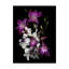 «Dendrobium Orchids» par Dosta, impression sur toile tendue-29224169