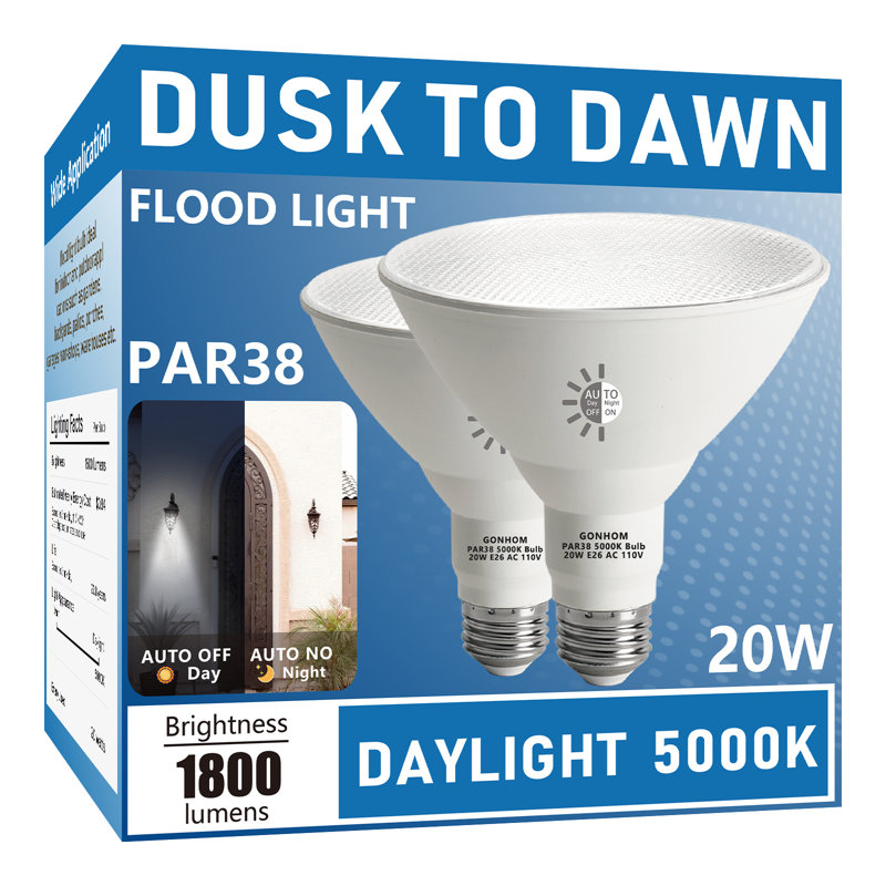Ampoules PAR38 DTD 5000K