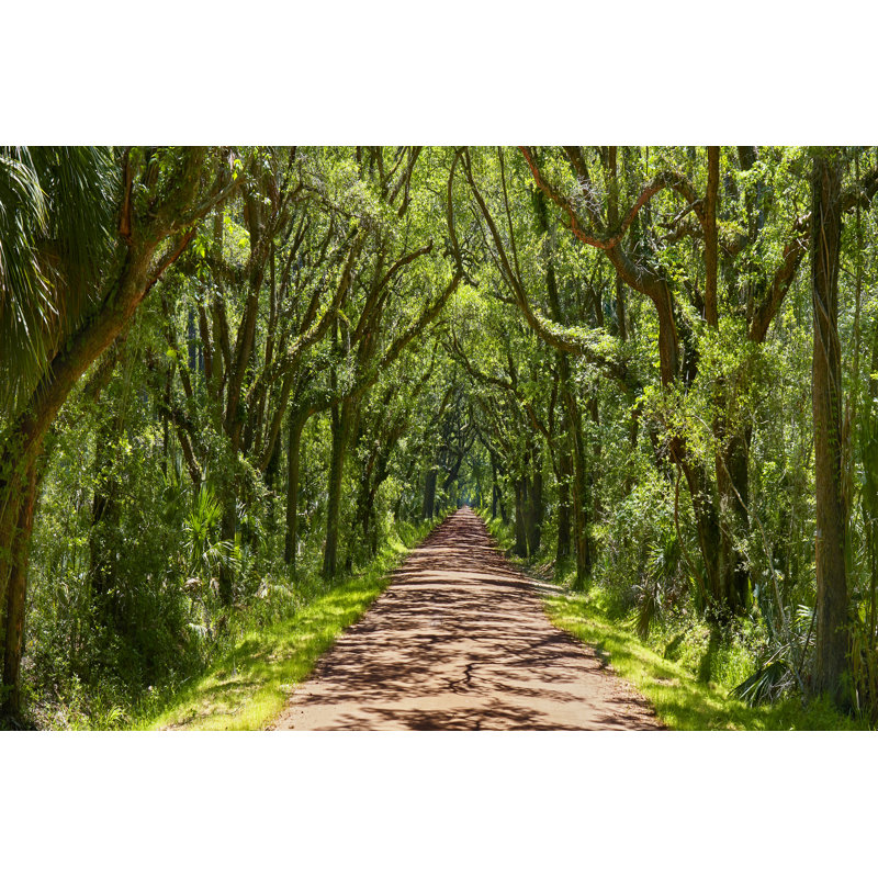 Country Road Panorama IV by James McLoughlin - Photograph, Wrapped Canvas, 61 cm H x 91 cm W