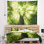 Paysage, soleil levant à travers une tapisserie d'arbre vert-28495709