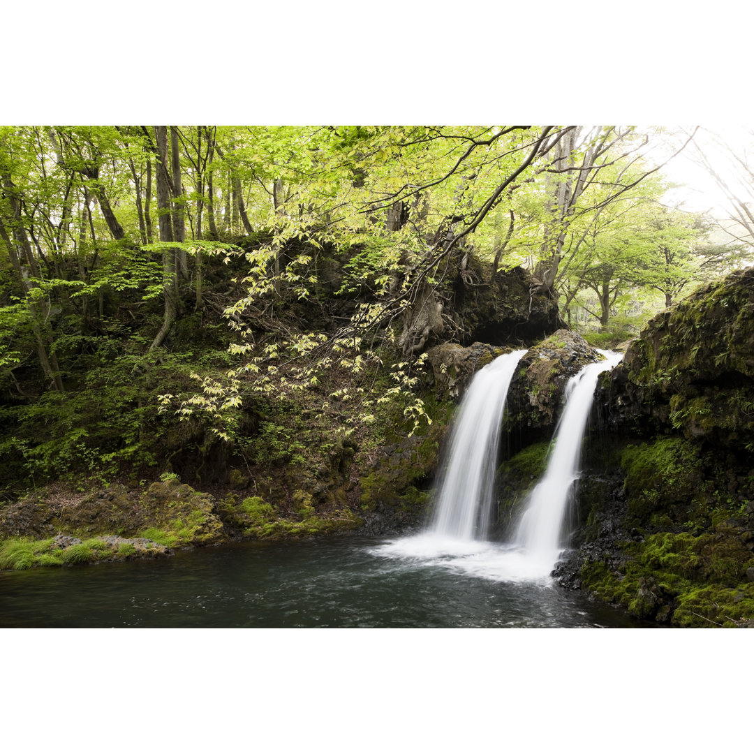 Wasserfälle in einem Wald von Ooyoo - Drucken