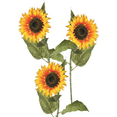 Tige de tournesol dans un vase