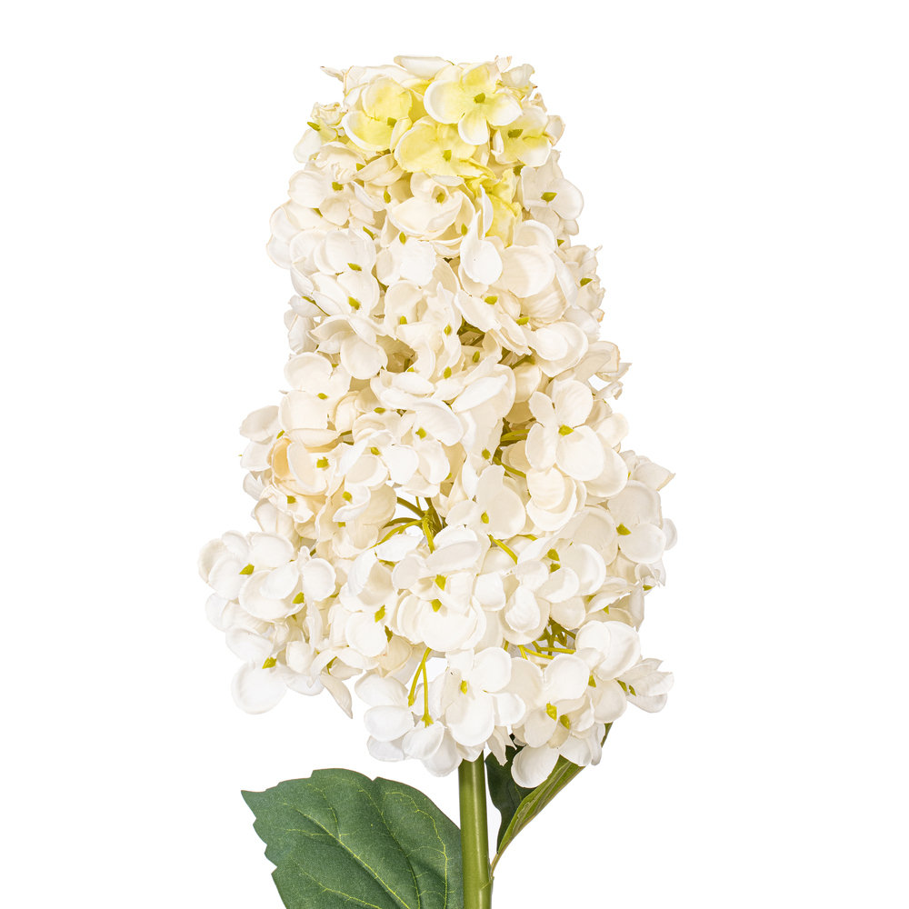 Hydrangea Floral Stems, White