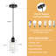 Luminaire suspendu simple 1 lumière