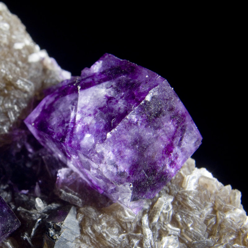 Madden Crystal