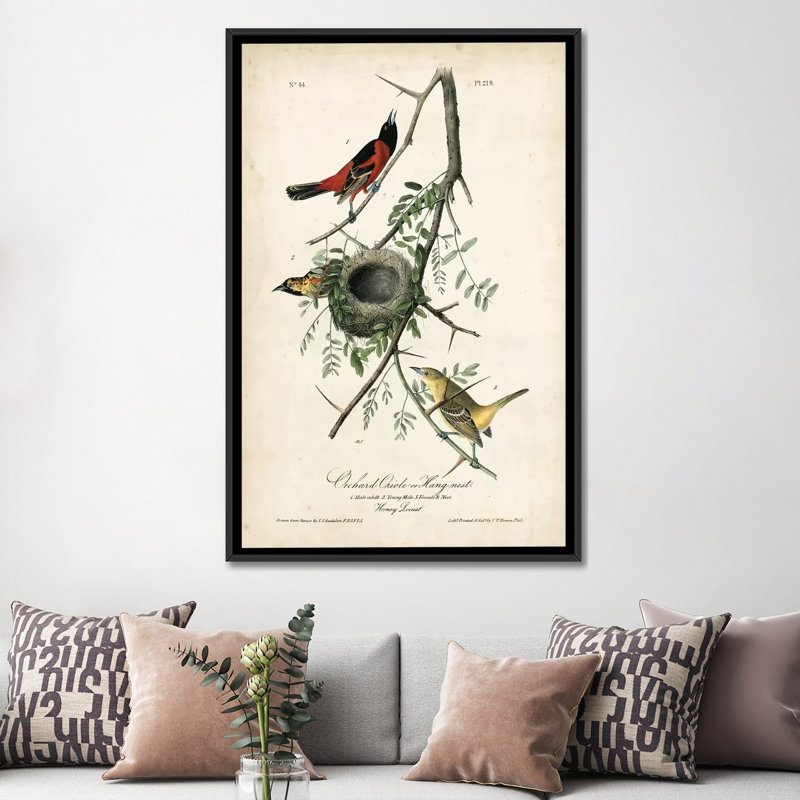 « verger orioles », impression sur toile, H 26 po x l 18 po x P 1,5 po, Toile encadrée noire, Pas de tapis