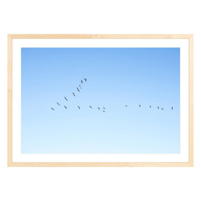Flying V by Amanda Anderson