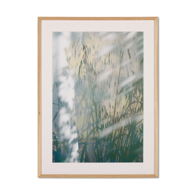 A Continuity By Fountain Grass Studios, H 60" x W 40"