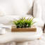 Faux plantes artificielles en bois d'acacia