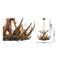 Dimitri 6-Light Brown Antler Chandelier