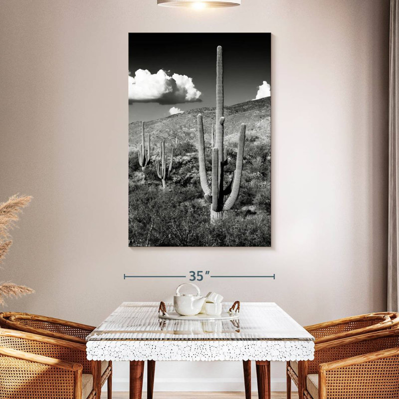 Harnek - Arizona noir - Saguaro Cactus Valley, H 51 po x l 34 po