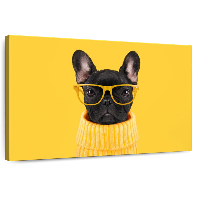 Brampt Sophisticated French Bulldog, 26" H x 39" W