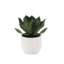 Artificial Succulent Plant Set in Stone Pots, Luxury 2-Pack
