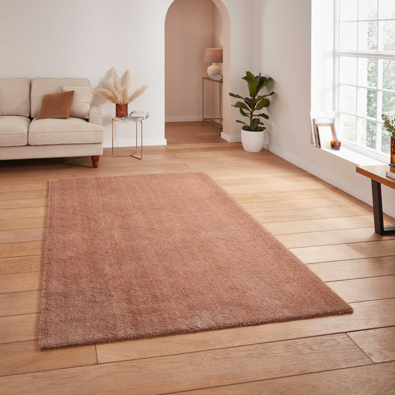 Ashaunte area rug Machine Woven Rectangle Walnut, Rectangle 120 x 170cm
