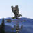 Degan 35'' H Aluminum Animals Weathervane