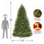The Holiday Aisle® 10ft. Dunhill Fir Tree