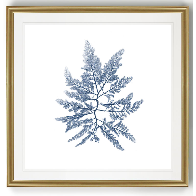 Marine Seaweed II - impression sur toile tendue, Cadre doré, H 26,5 po x l 26,5 po x P 1,5 po