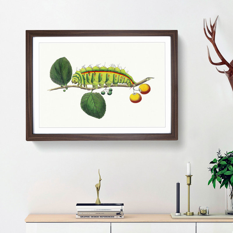 Caterpillar by George Shaw - Picture Frame Painting Print, Walnut Framed, 27cm H x 36cm W x 2cm D