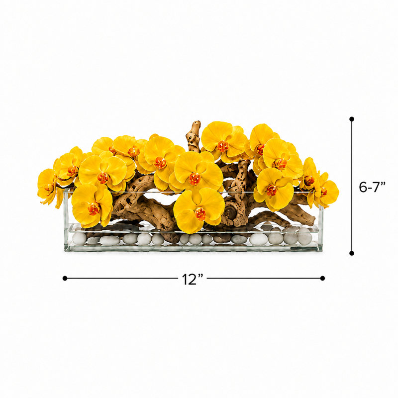 Arrangements floraux d'orchidées en pot, Yellow, H 12 po x l 12 po x P 6 po