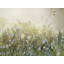 Blue Flowers in Meadow by Arohika Verma — Landscape Wall Art-1427807175-1427807231-1427807217