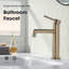 Bathroom Faucet Single Handle Brass Vanity Sink Faucets-102640072