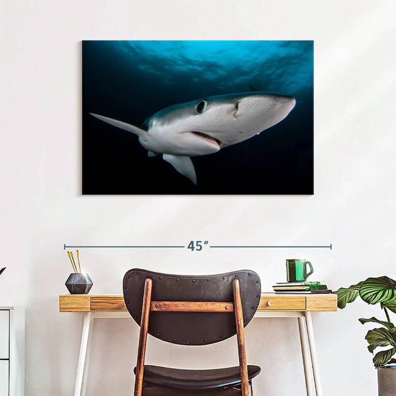 Brampt Underwater Blue Shark, 26" H x 39" W