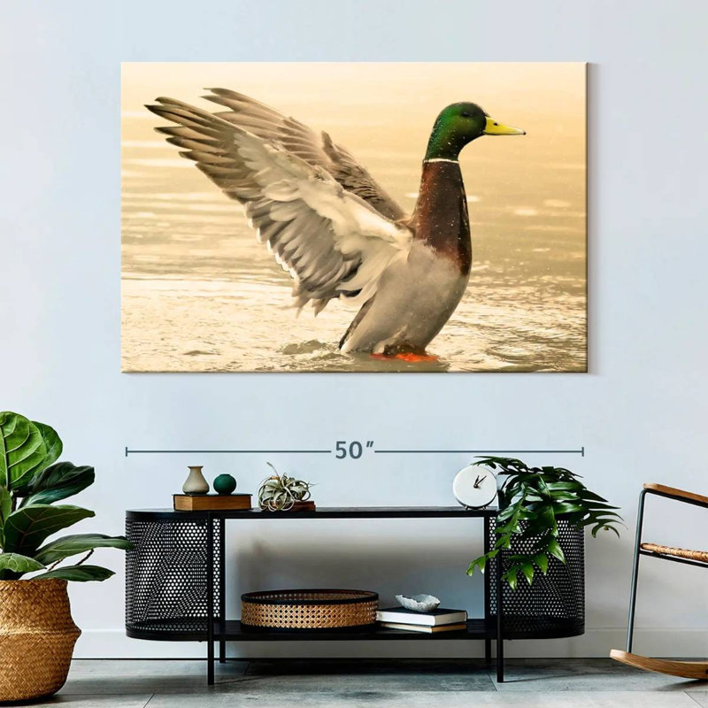 Canard colvert majestueux Brampt, H 34 po x l 51 po