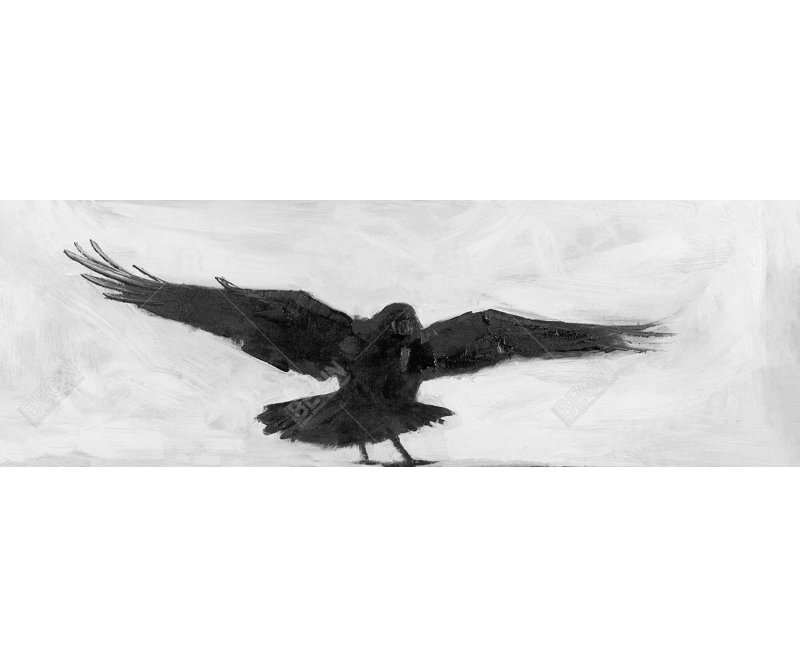 " Crow In Flight "