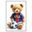 «Soccer Red Blue Teddy», reproduction acrylique encadrée par Art Remedy, cadre argenté, 10 x 15-1129239532-1129239534