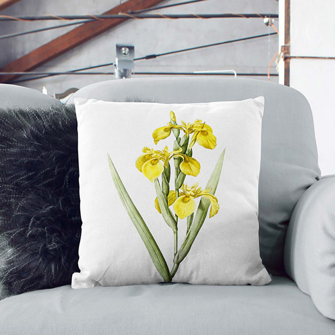 Irises by Pierre-Joseph Redoute Cushion with Filling
