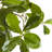 72'' Faux Olive Tree Tree in Pot