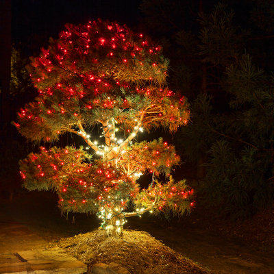 LED Mini Christmas Shatter Resistant 50 Light String Lighting