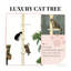 Arbre à chat, arbre à chat à 4 niveaux